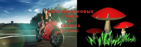 стафф Балабаново