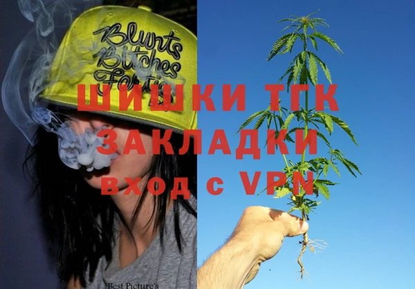 гашик Балахна