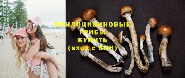 стафф Балабаново
